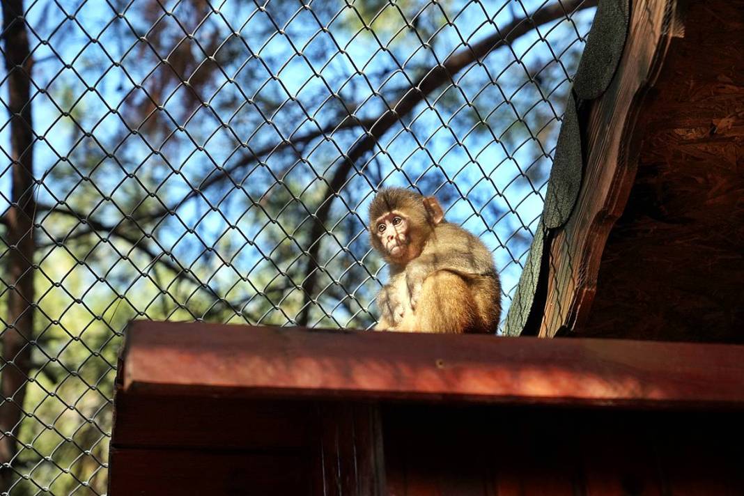 Otobüsle gönderilen koliyi kimse almayınca şoke eden gerçek ortaya çıktı! Hiç kimse bu kadar absürtlüğü tahmin edemezdi 25